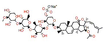 Cucumarioside G3